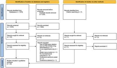 The impact of phosphodiesterase inhibition on neurobehavioral outcomes in preclinical models of traumatic and non-traumatic spinal cord injury: a systematic review